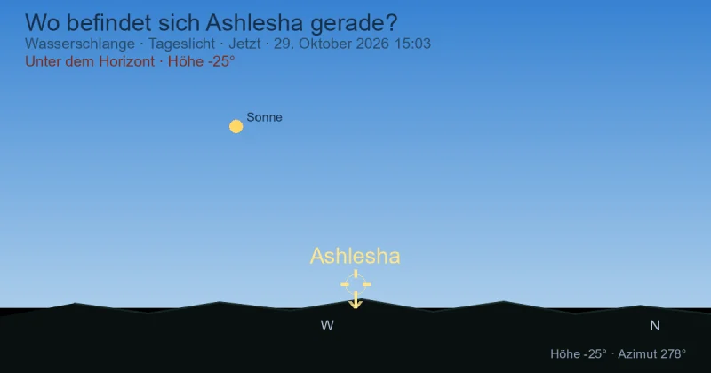 Wo befindet sich Ashlesha gerade?