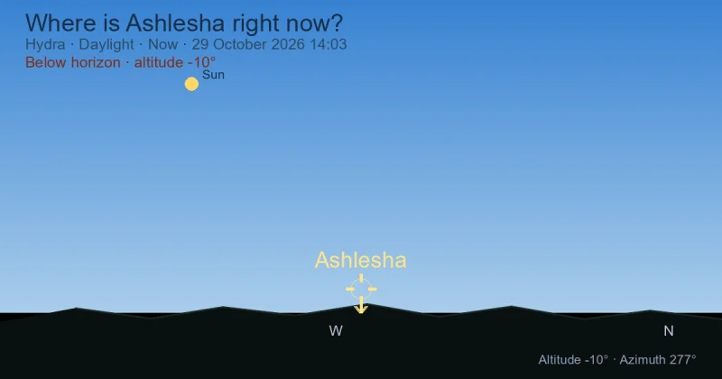 Where is Ashlesha right now?
