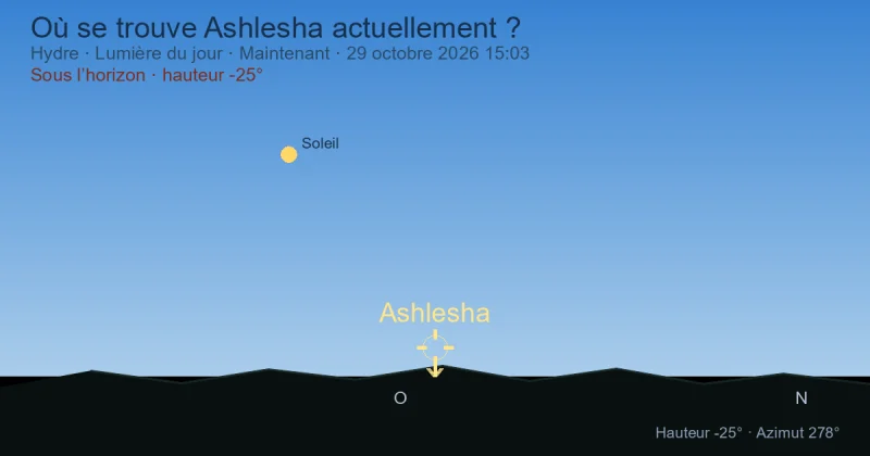 Où se trouve Ashlesha actuellement ?
