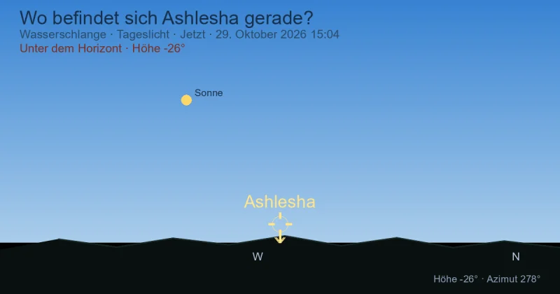 Wo befindet sich Ashlesha gerade?