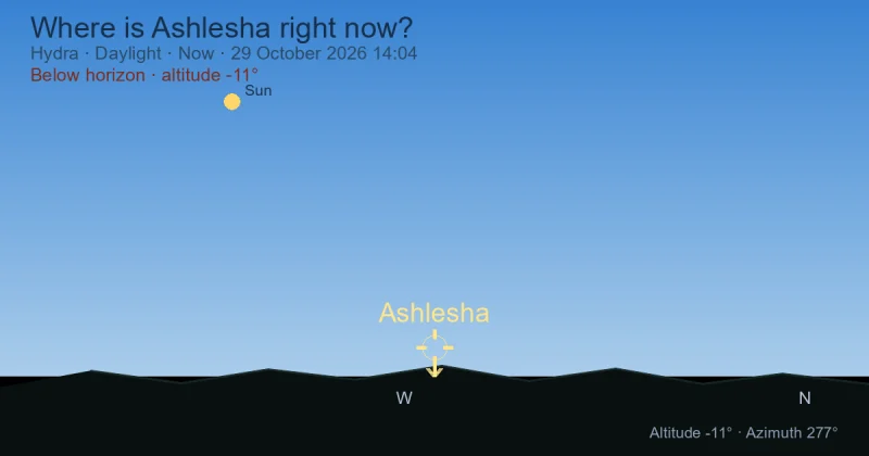 Where is Ashlesha right now?