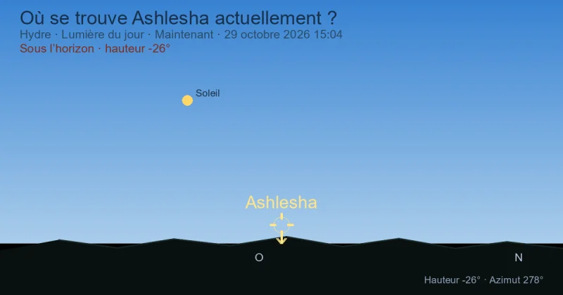 Où se trouve Ashlesha actuellement ?