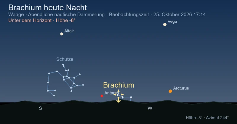 Brachium heute Nacht