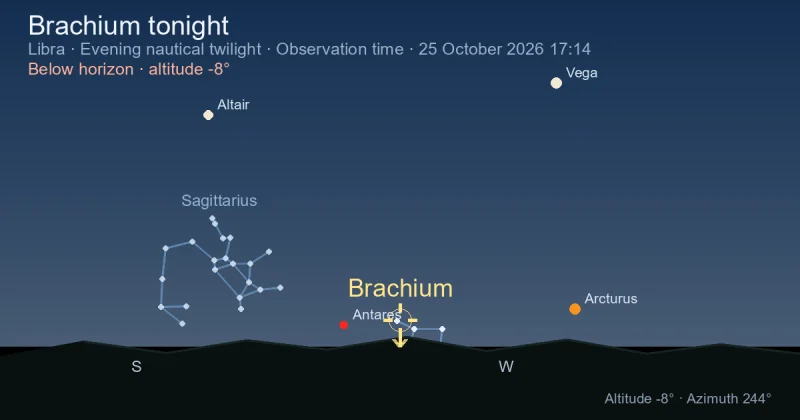 Brachium tonight