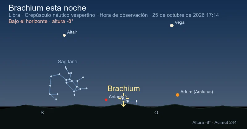 Brachium esta noche