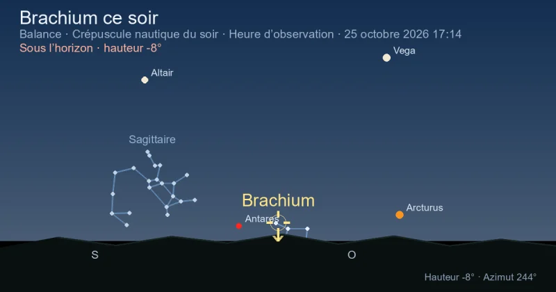 Brachium ce soir
