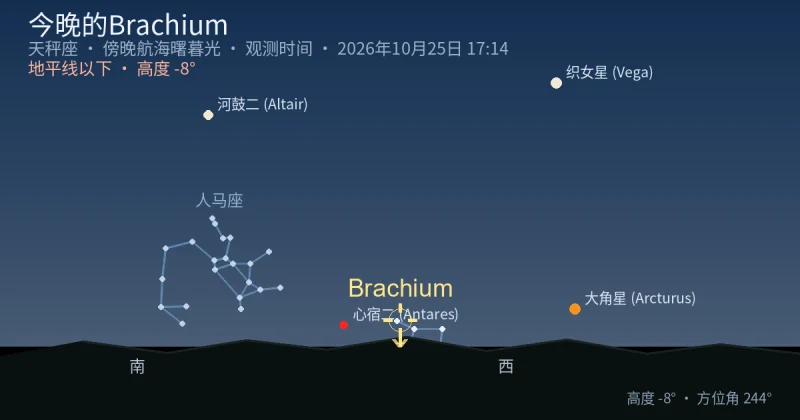 今晚的Brachium