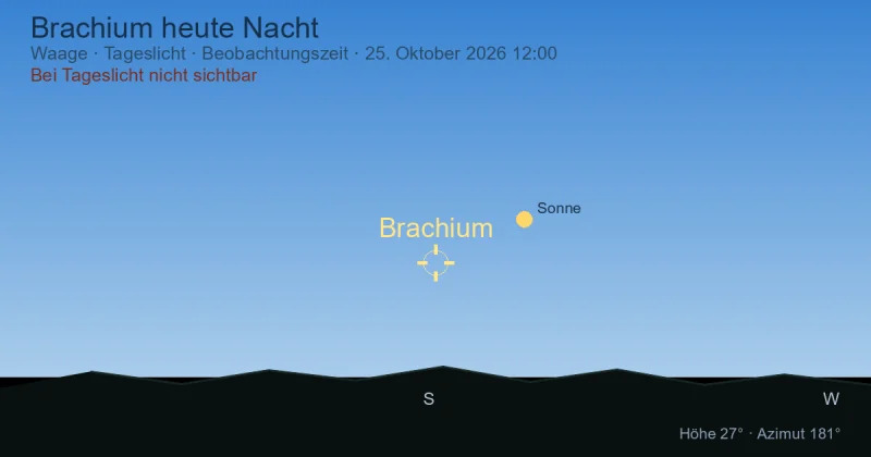 Brachium heute Nacht