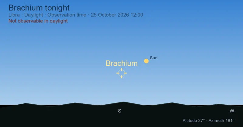 Brachium tonight