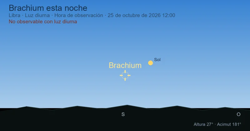 Brachium esta noche