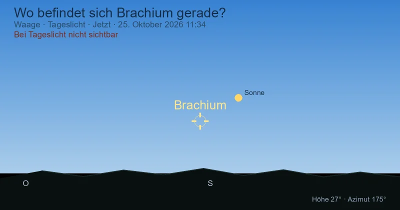 Wo befindet sich Brachium gerade?