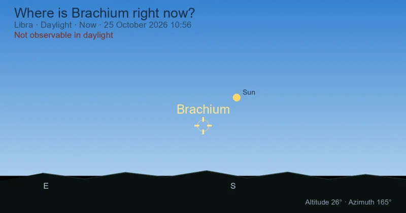 Where is Brachium right now?