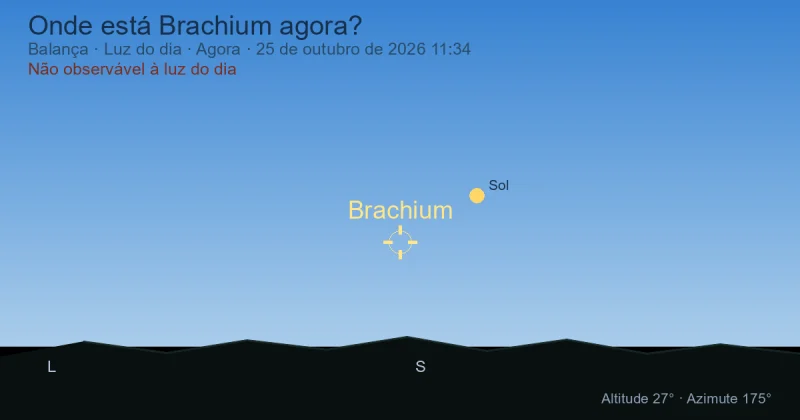Onde está Brachium agora?