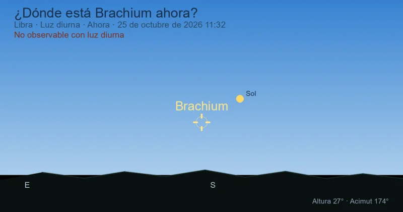 ¿Dónde está Brachium ahora?