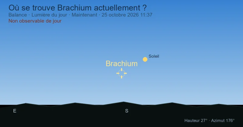Où se trouve Brachium actuellement ?