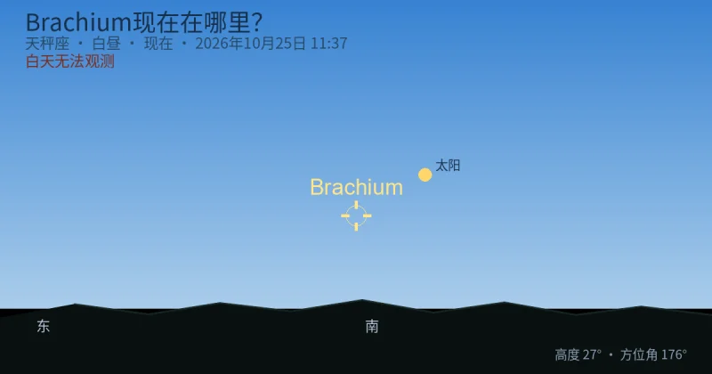 Brachium现在在哪里?
