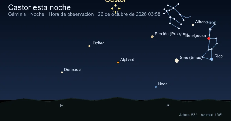Castor esta noche