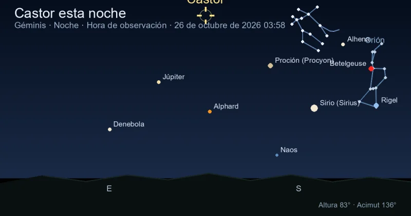 Castor esta noche