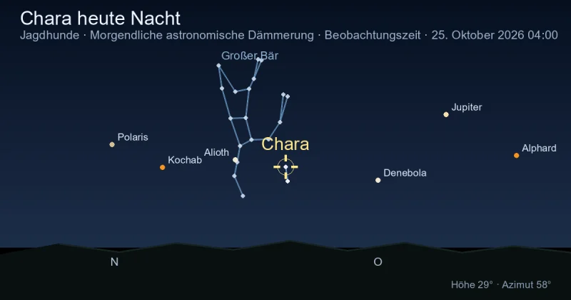 Chara heute Nacht