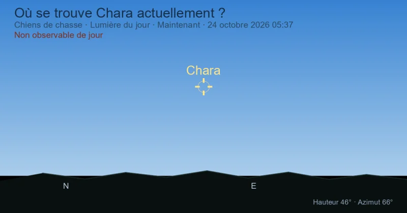 Où se trouve Chara actuellement ?