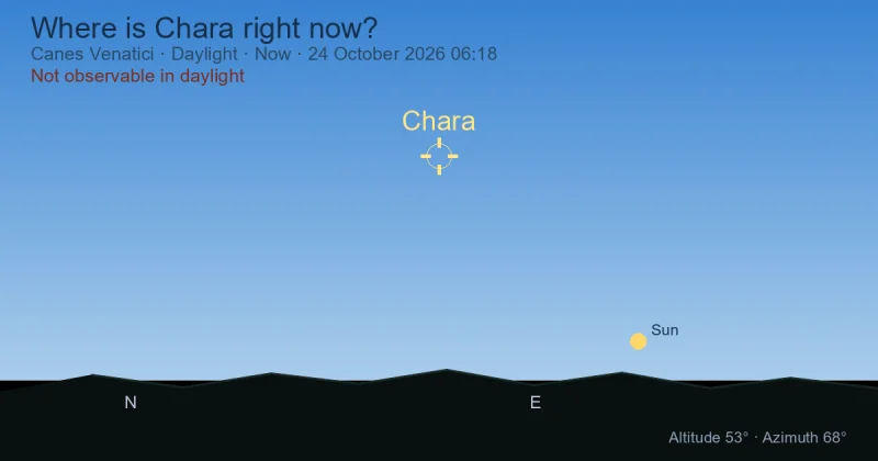 Where is Chara right now?