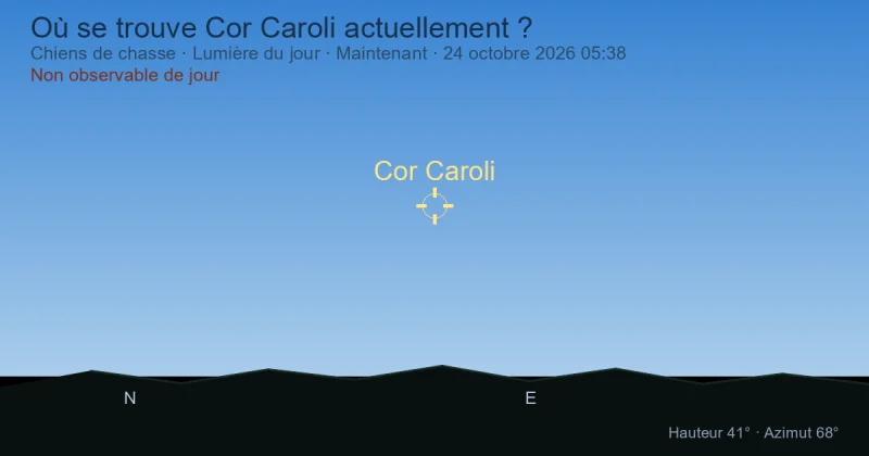 Où se trouve Cor Caroli actuellement ?