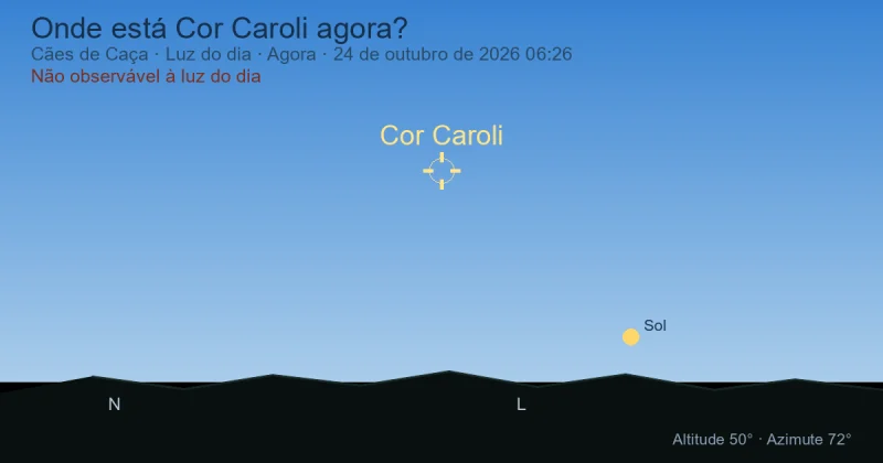 Onde está Cor Caroli agora?