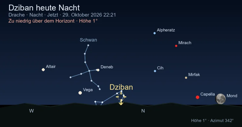 Dziban heute Nacht