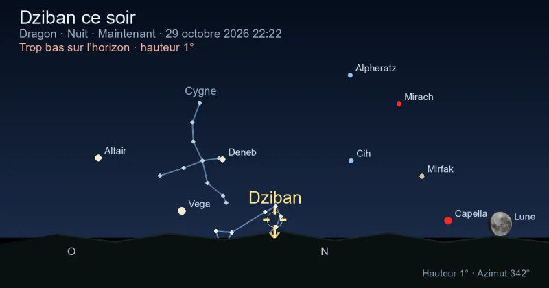 Dziban ce soir