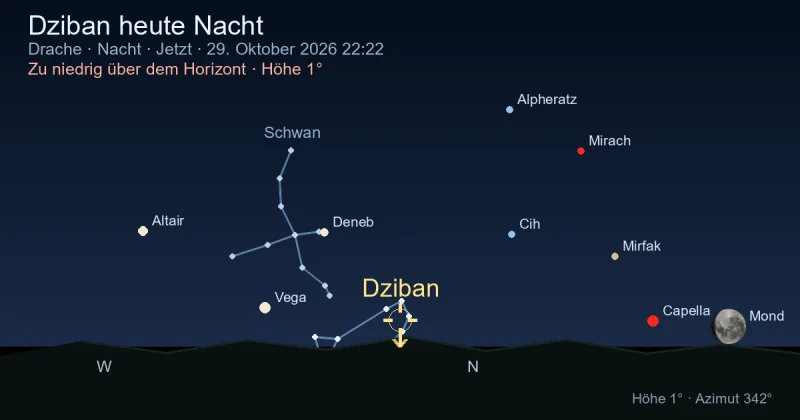 Dziban heute Nacht