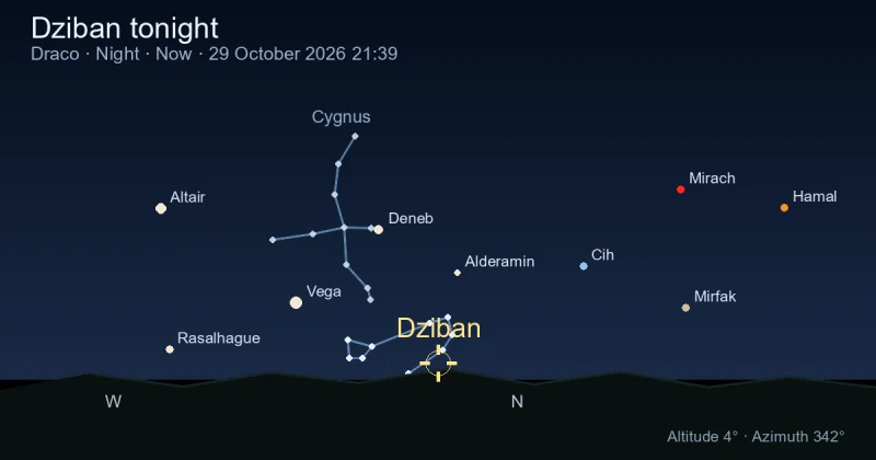 Dziban tonight