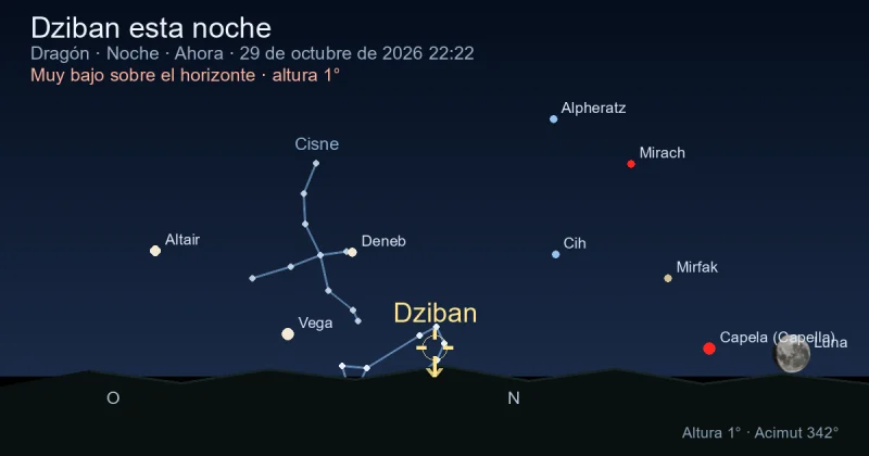 Dziban esta noche