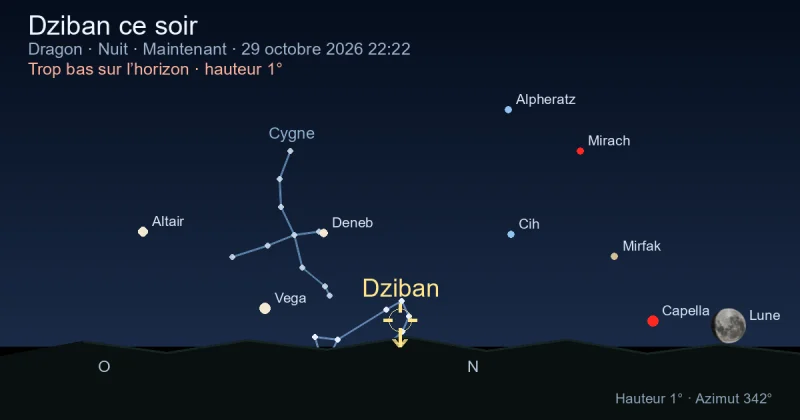 Dziban ce soir