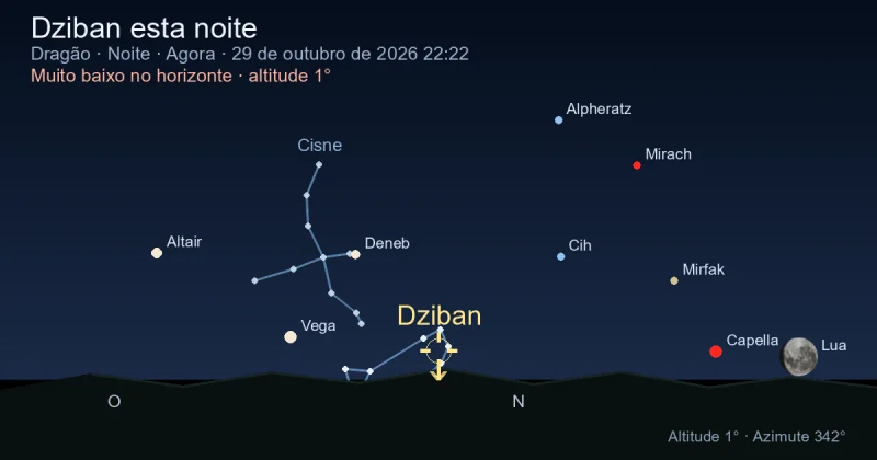 Dziban esta noite