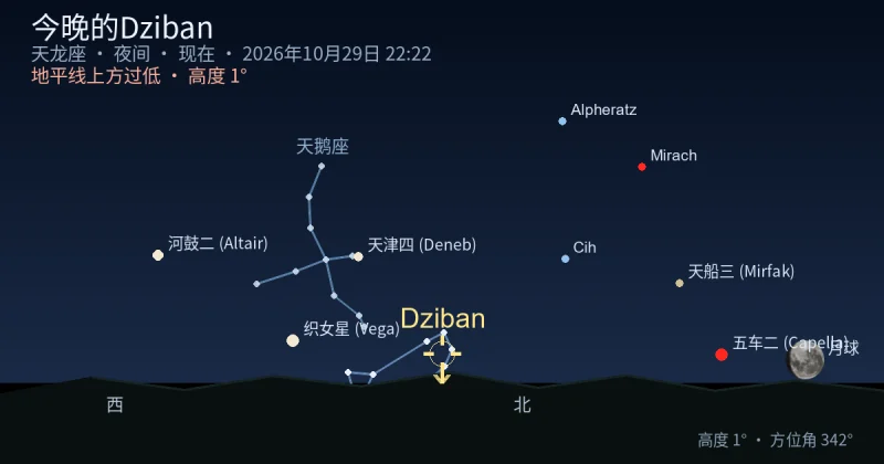 今晚的Dziban