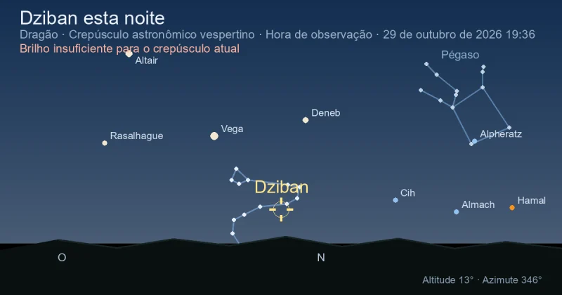 Dziban esta noite