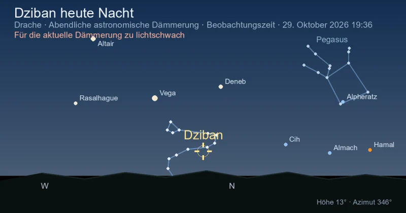 Dziban heute Nacht
