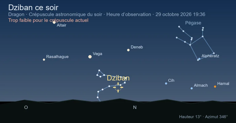 Dziban ce soir