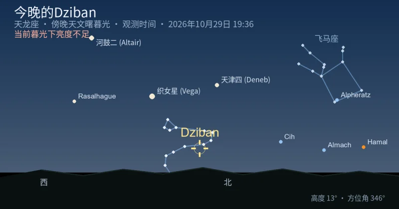 今晚的Dziban