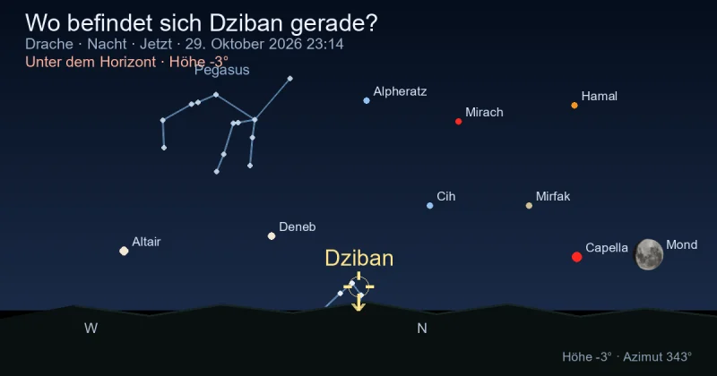 Wo befindet sich Dziban gerade?