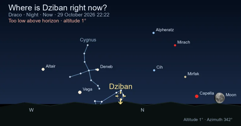 Where is Dziban right now?