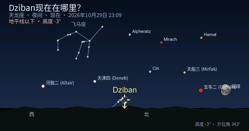 Dziban现在在哪里？