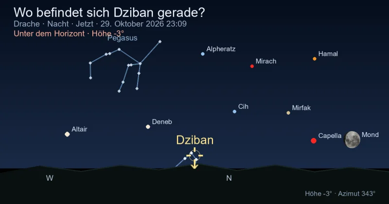Wo befindet sich Dziban gerade?
