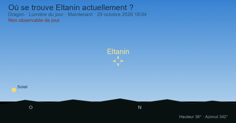 Où se trouve Eltanin actuellement ?