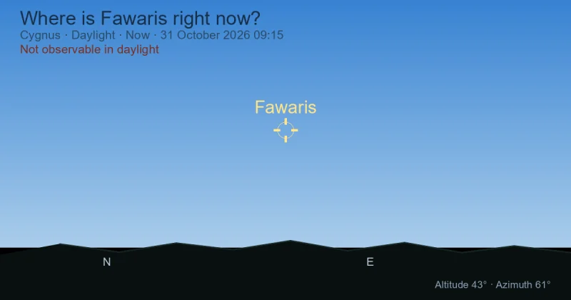 Where is Fawaris right now?
