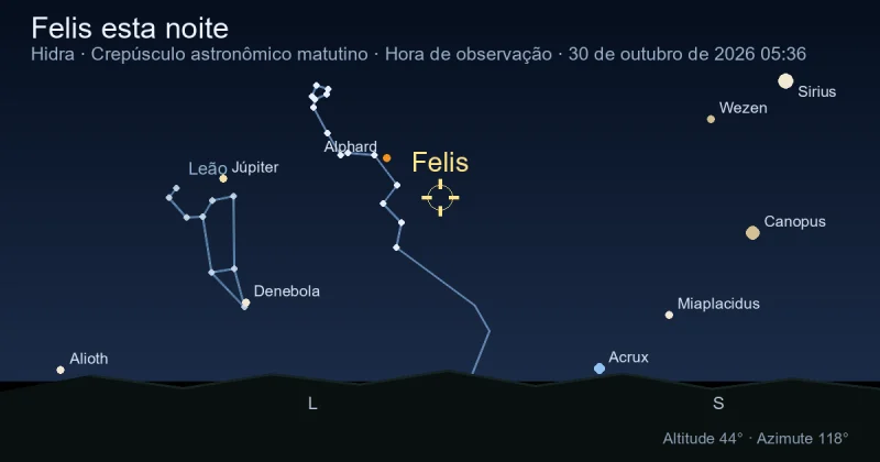 Felis esta noite