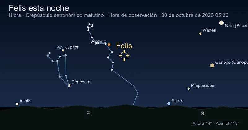 Felis esta noche