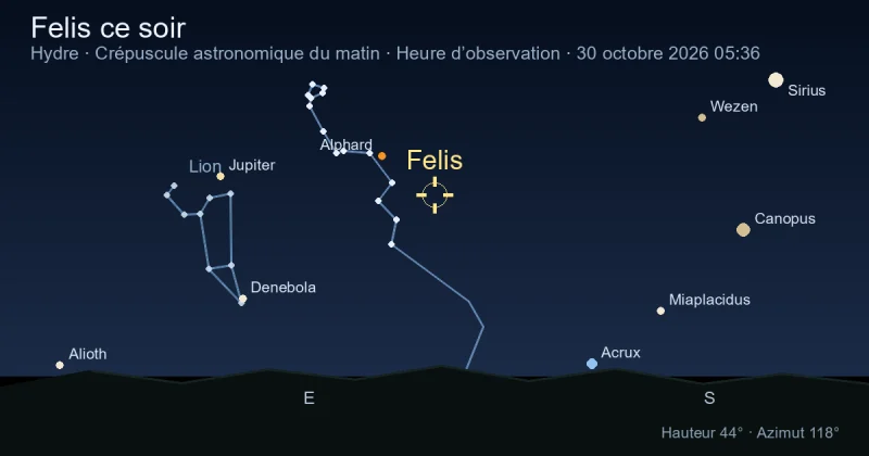Felis ce soir