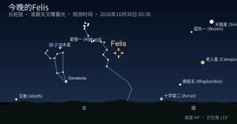 今晚的Felis