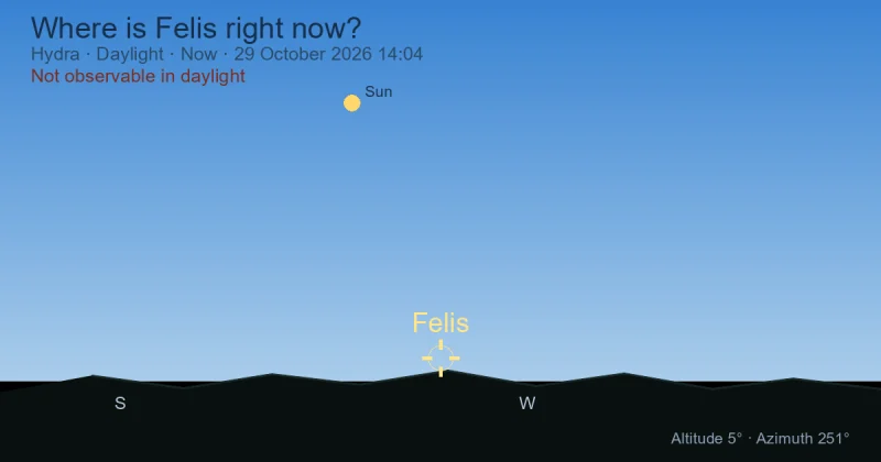 Where is Felis right now?